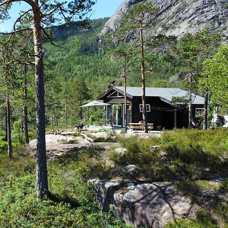 Cosy Cabin Between Lake And Mountain Treungen Kültér fotó