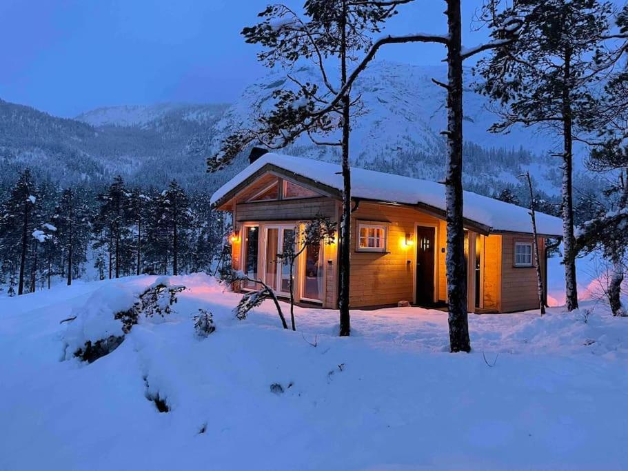 Cosy Cabin Between Lake And Mountain Treungen Kültér fotó
